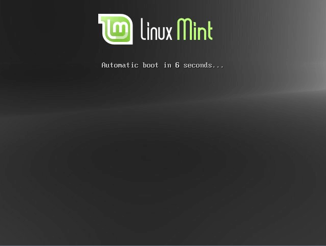 linuxmint17install (1)