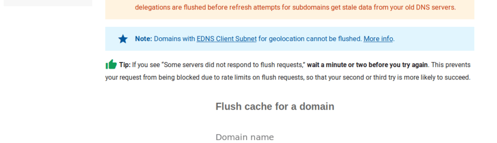 Google Public DNS Flush Cache page