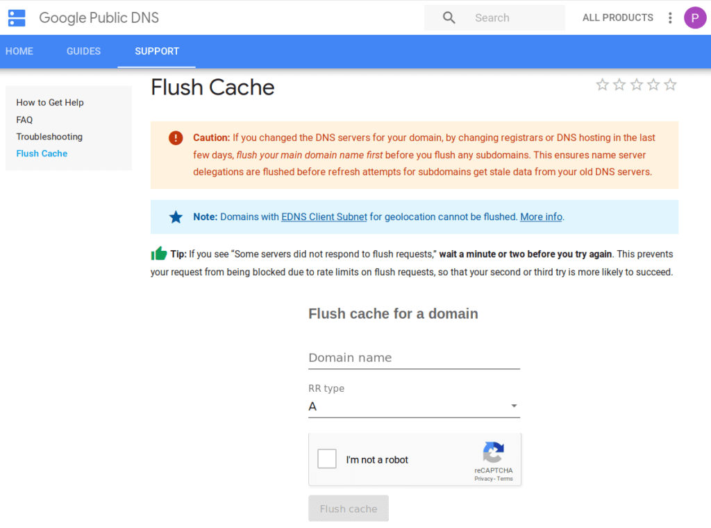 Google Public DNS 的 Flush Cache 界面